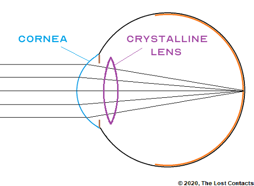 The Optics Of Vision Part 9 The Crystalline Lens The Lost Contacts